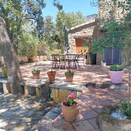 Casa Rural Vinas Perdidas Béjar Dış mekan fotoğraf