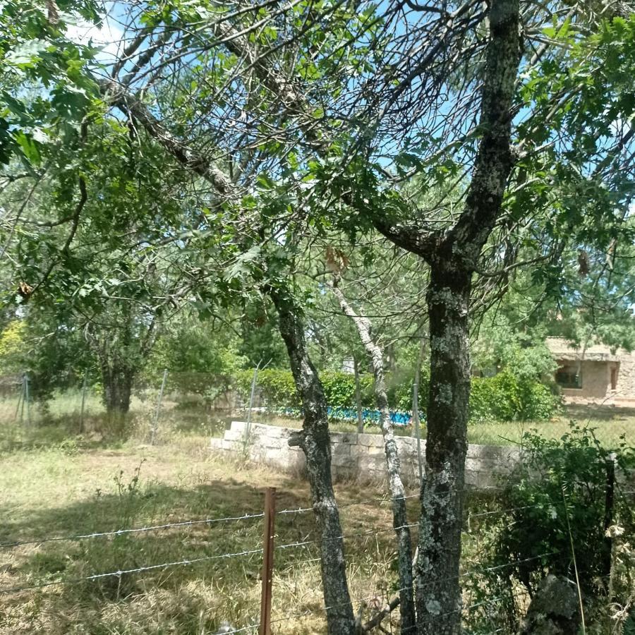 Casa Rural Vinas Perdidas Béjar Dış mekan fotoğraf