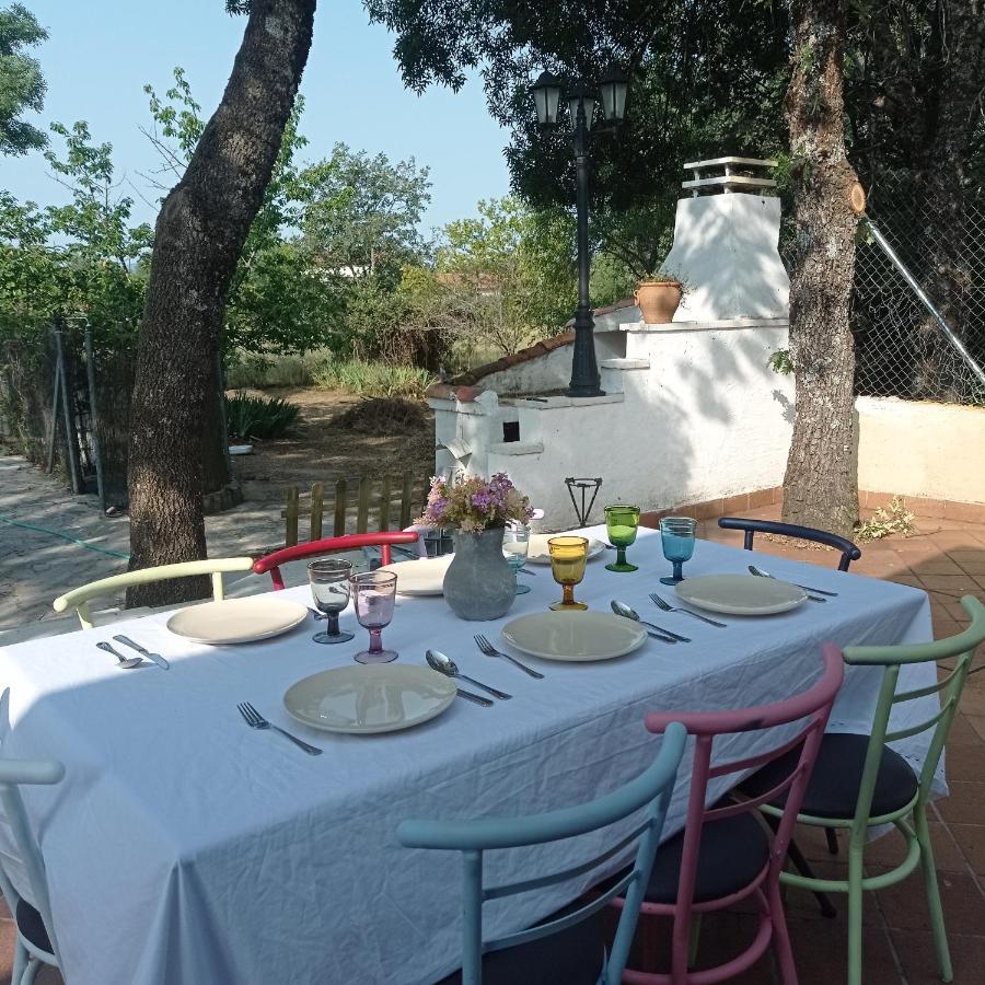 Casa Rural Vinas Perdidas Béjar Dış mekan fotoğraf
