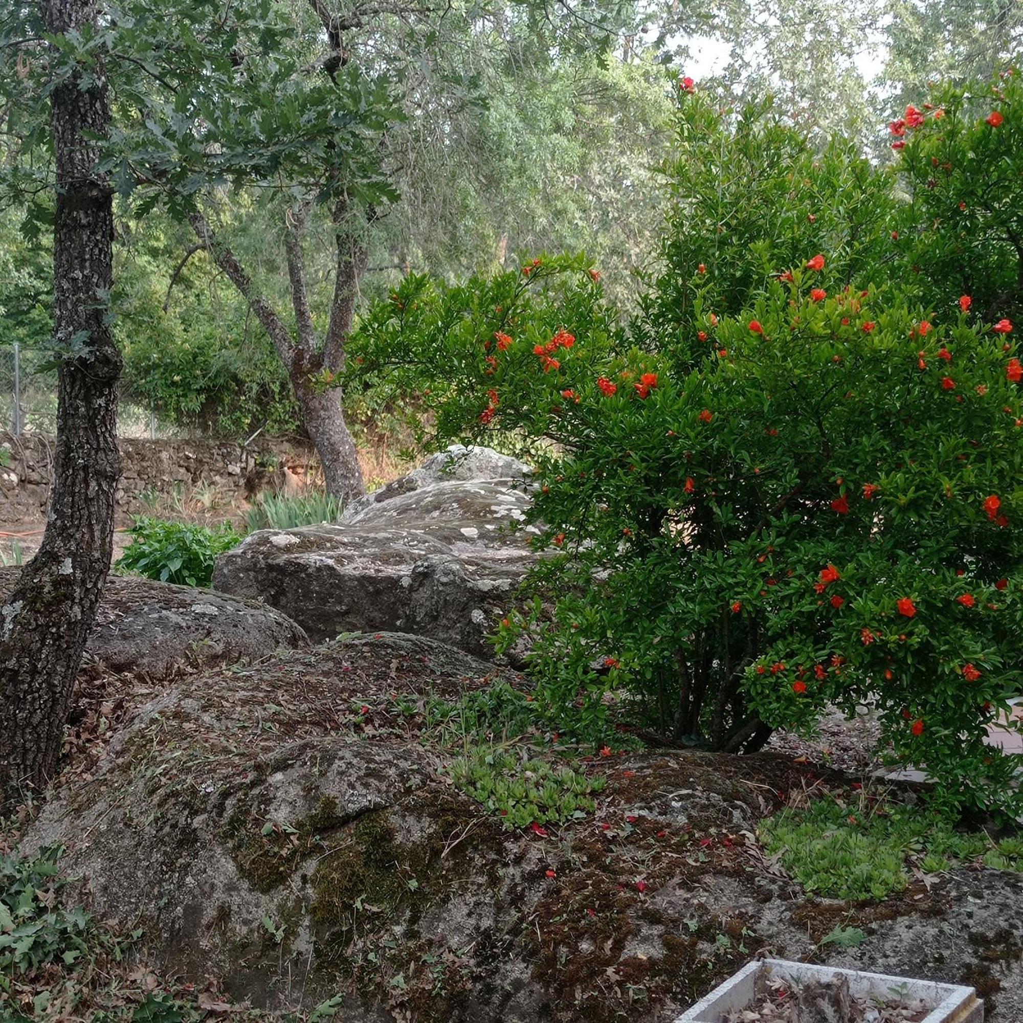 Casa Rural Vinas Perdidas Béjar Dış mekan fotoğraf